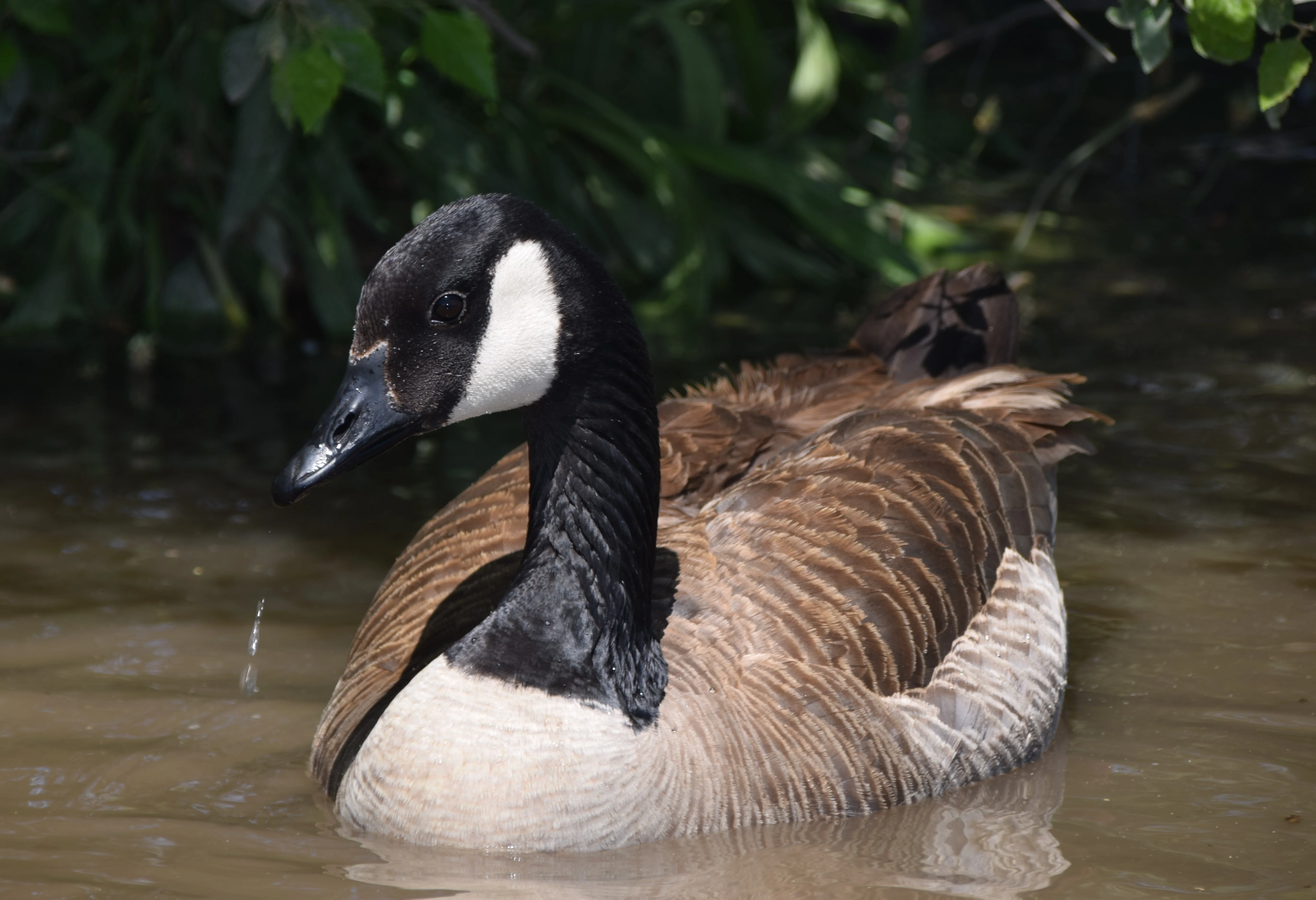 cropped_DSC_0106.webp
