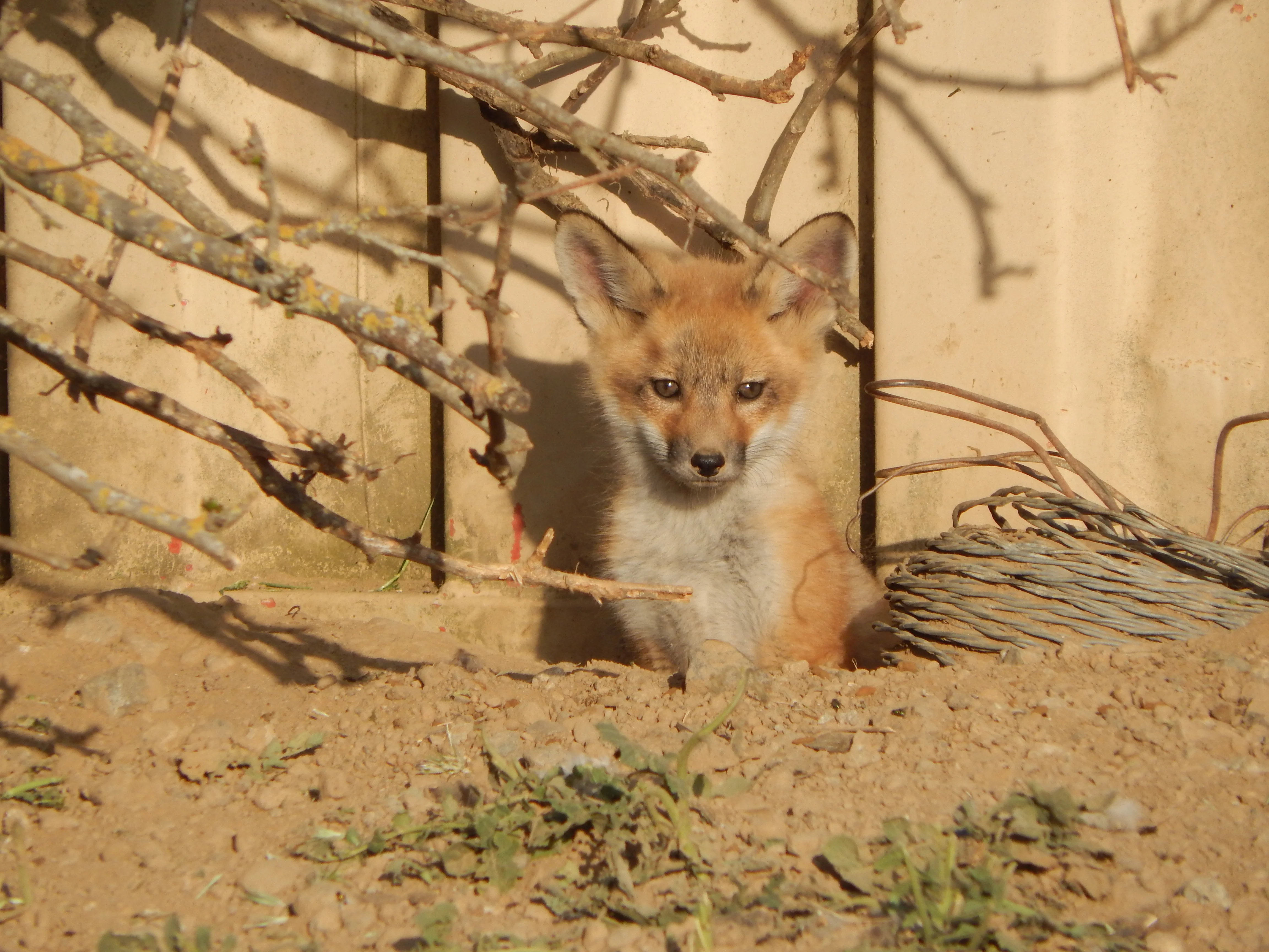 DSCN1170.webp