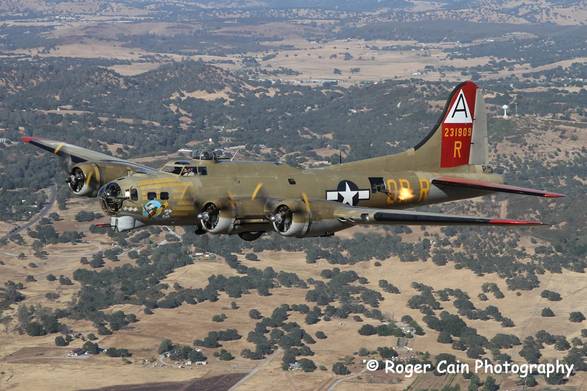 B17Profile_6753.webp