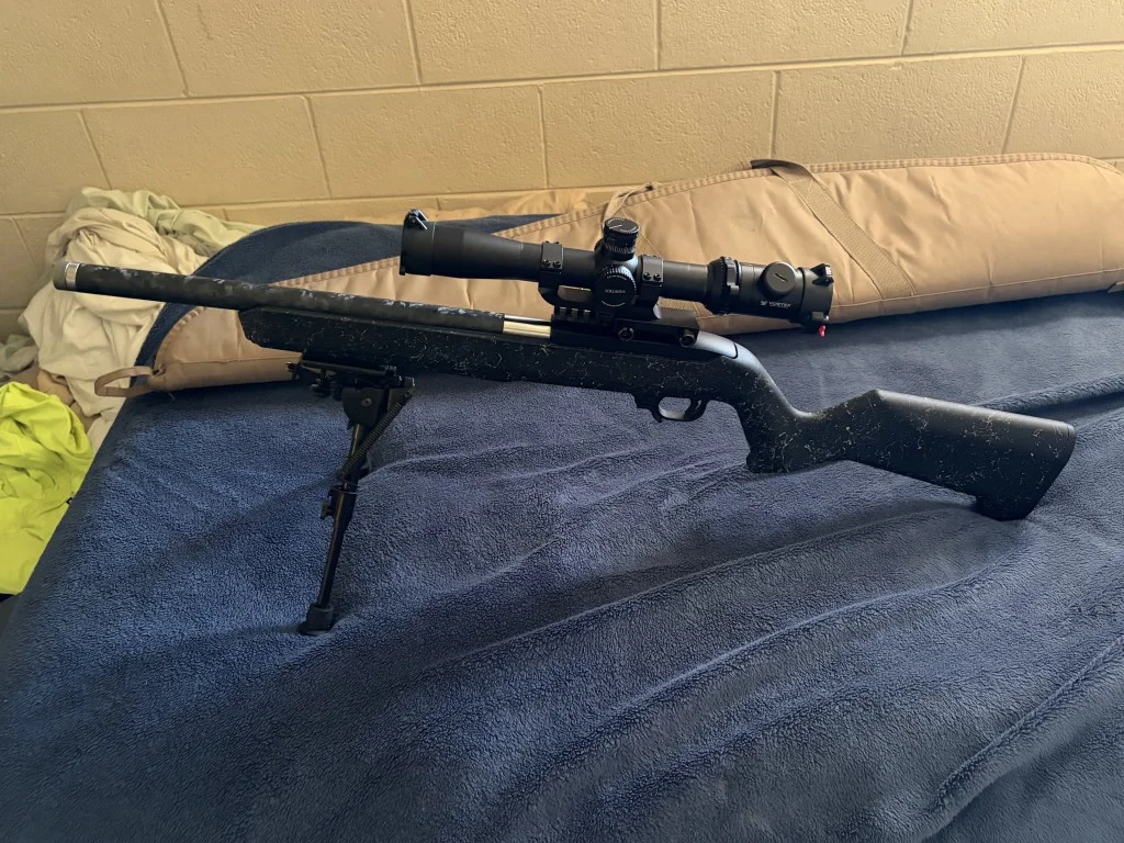 ruger-1022-mlok-picatinny.webp