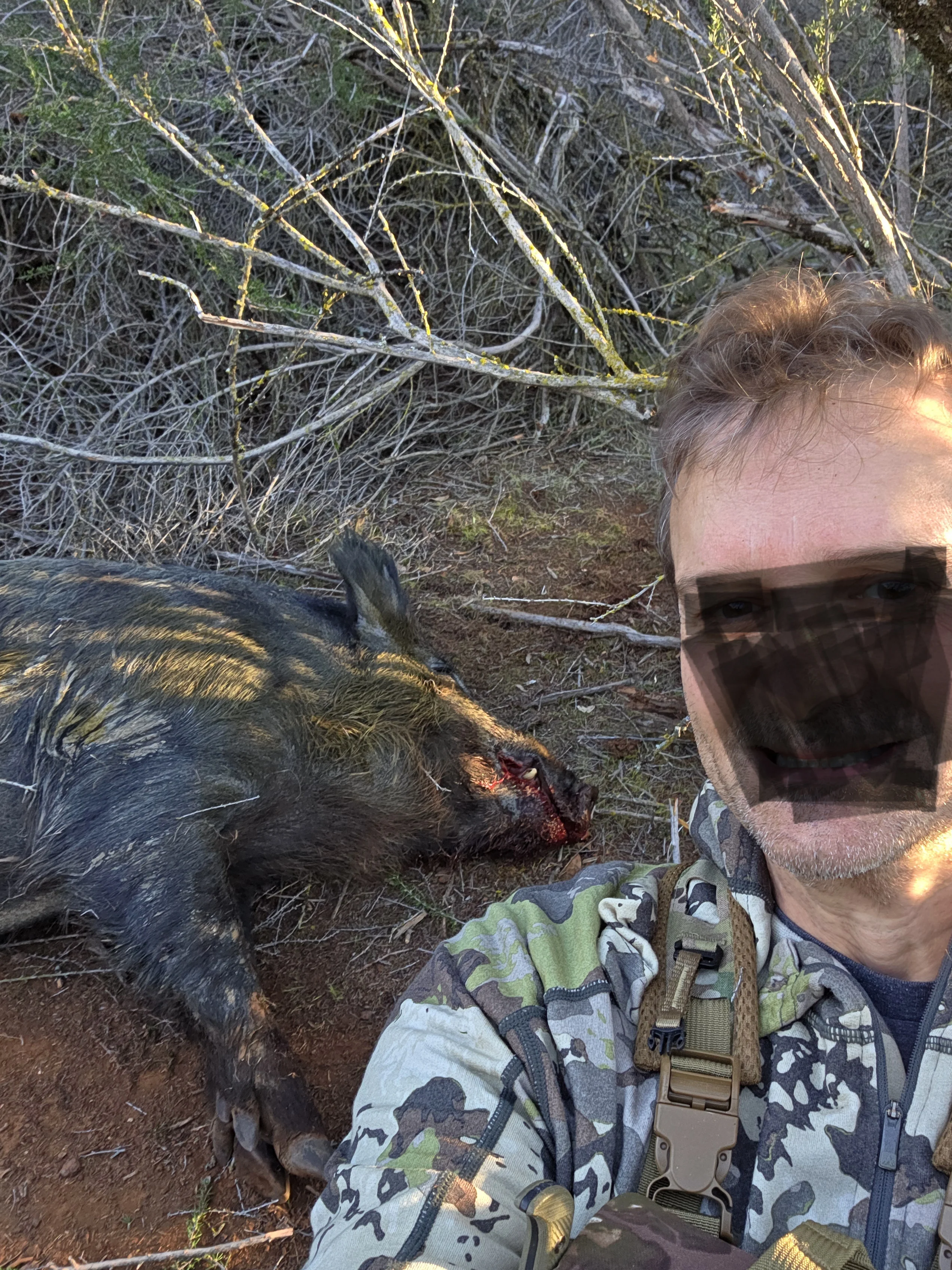 1000010046.webp