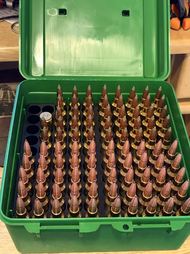 300-wsm-loads-150-e-tip-168L-Mcguire.webp
