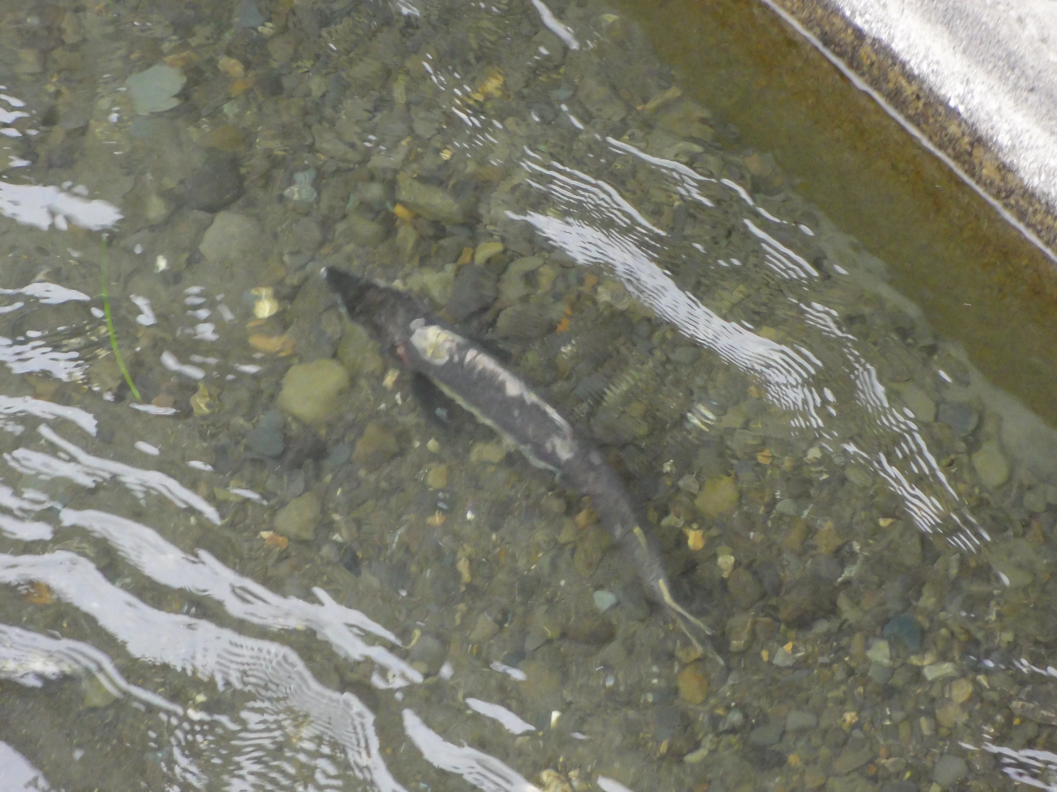 DSC01157.webp