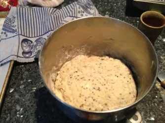 artisan-dough-first-rise.webp artisan-dough-first-rise.webp