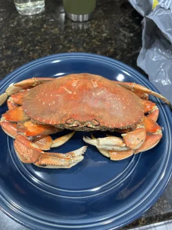 IMG_1942.webp IMG_1942.webp