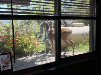buck-outside-rental-03.webp