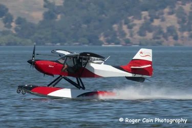 Mesa_Fox_KitFox_KA21118495_A5577.webp