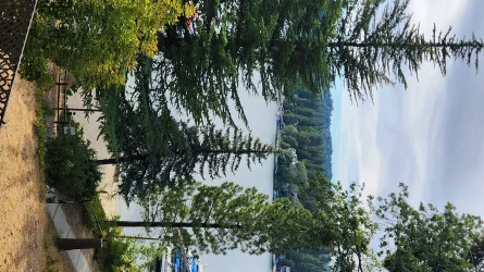 20250820_173303.webp